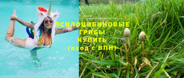 амфетамин Алексеевка