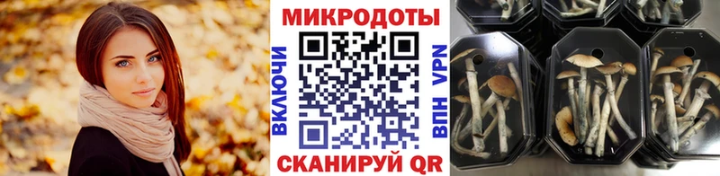 Псилоцибиновые грибы мухоморы  Арск 